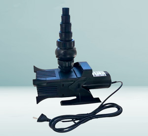 Nuevo Ingreso Bomba Sobo